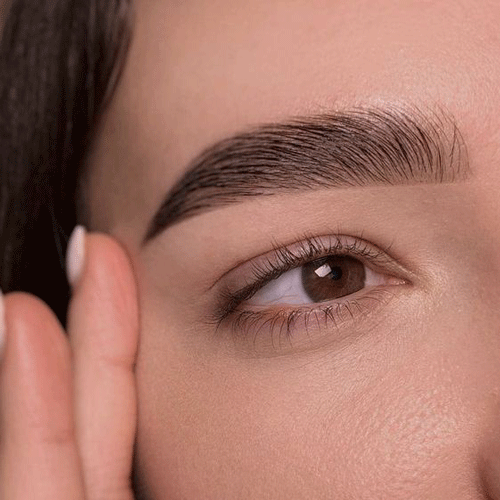 Brow Tint (Henna or Dye)
