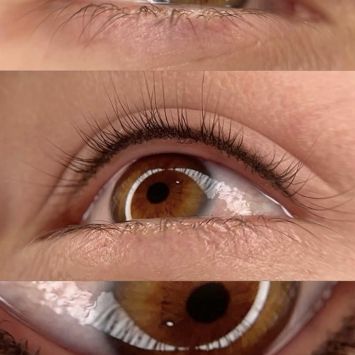 Lash Line